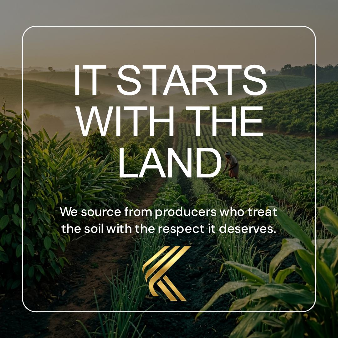 Premium Indian Spice